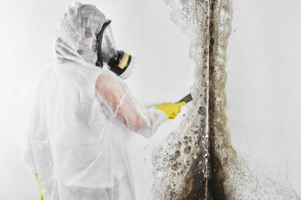 Best Crawl Space Mold Removal  in Lawson Heights, PA