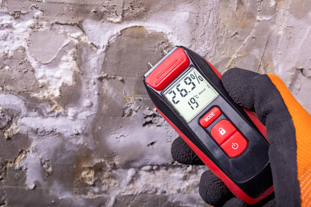 Best Mold Testing  in Lawson Heights, PA